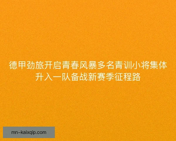 德甲劲旅开启青春风暴多名青训小将集体升入一队备战新赛季征程路